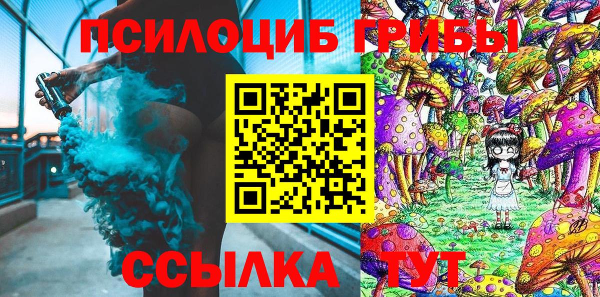 Галлюциногенные грибы Psilocybe Малгобек