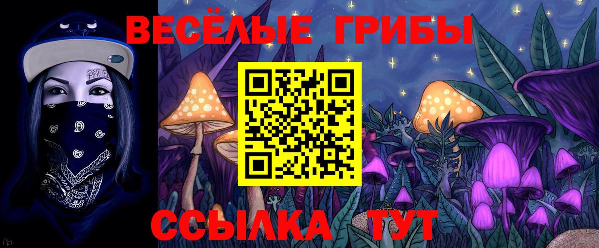 Малгобек  Псилоцибиновые грибы ЛСД  как найти закладки  Псилоцибиновые грибы ЛСД  Вход с VPN 